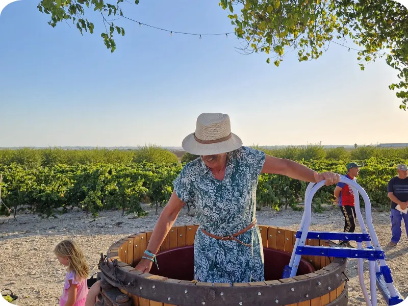 Simonetta durante la pisa de la uva in un vigneto